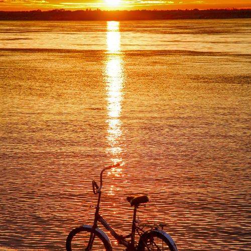 Photo #14001915