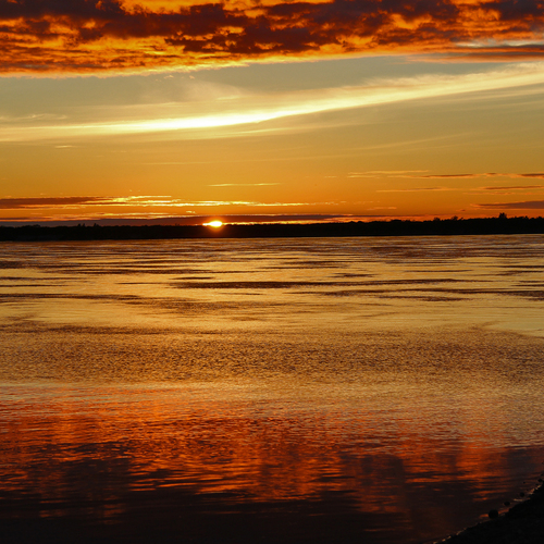Photo #14001916