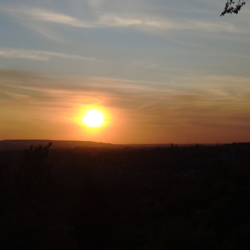 Photo #14001954