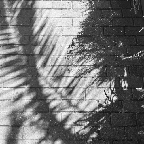 Photo #14001996
