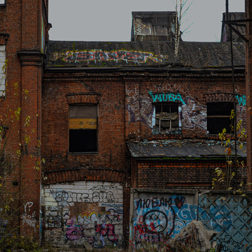 Photo #14002050