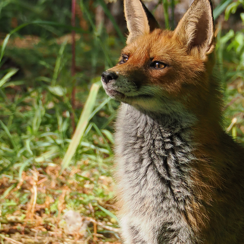 Photo #14002111