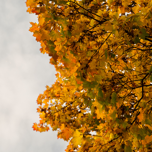 Photo #14002253