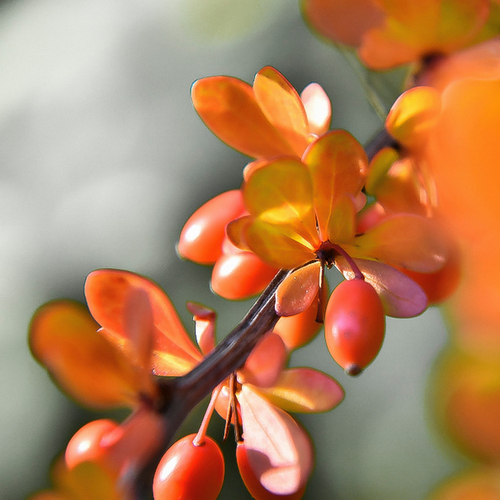 Photo #14002266