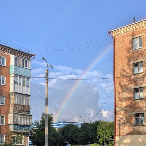 Photo #14002348