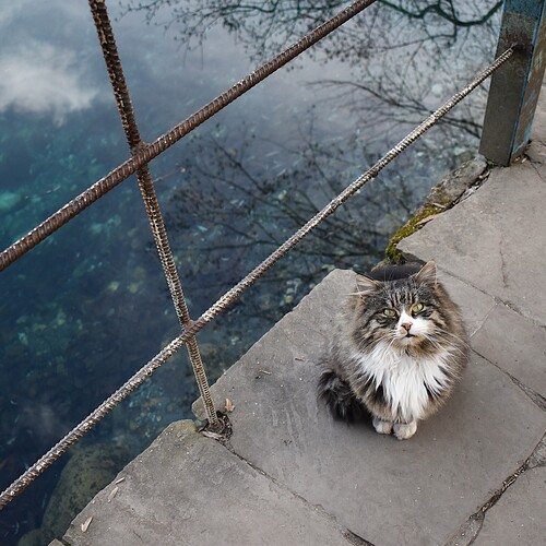 Photo #14002349