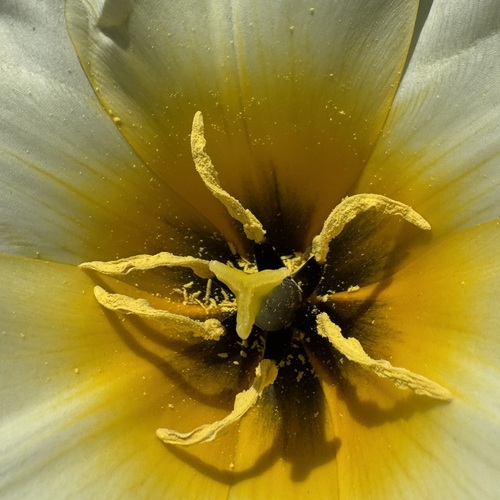 Photo #14002364