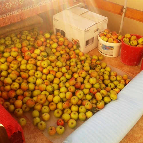 Photo #14002514