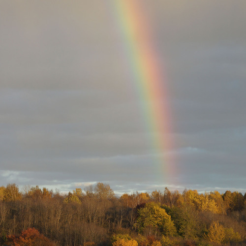 Photo #14002547