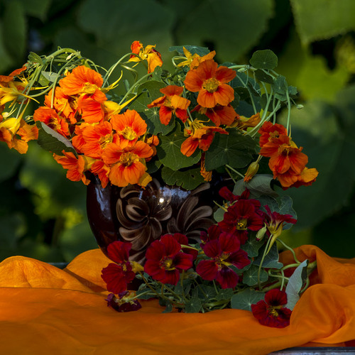 Photo #14002667