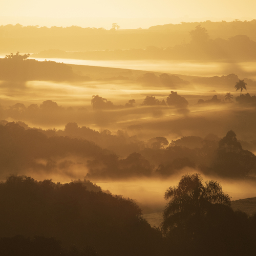 Photo #14002968