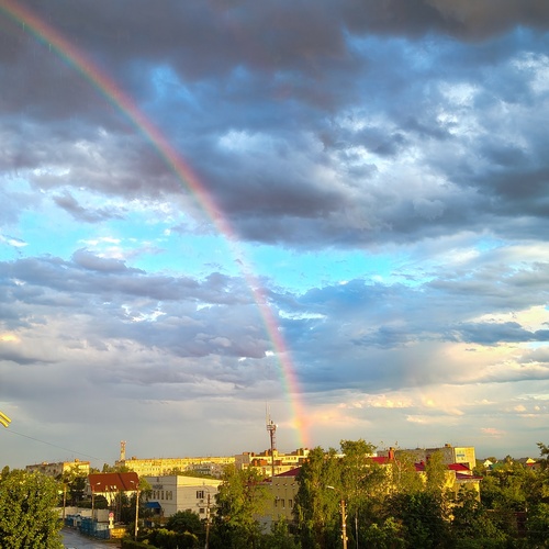Photo #14003048