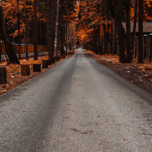 Photo #14003296