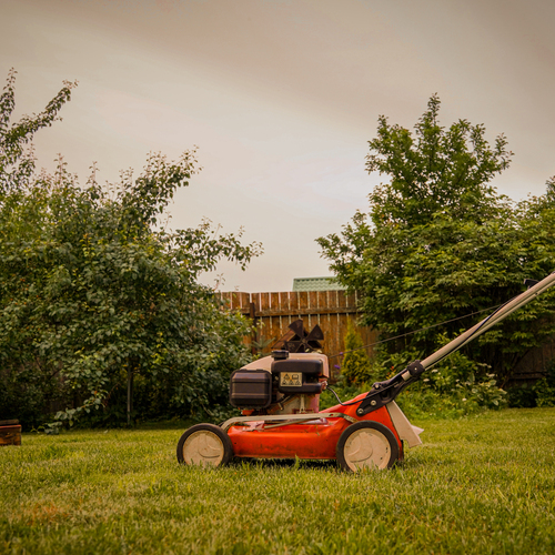 Photo #14003522