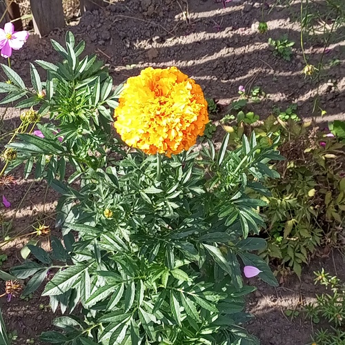 Photo #14003539