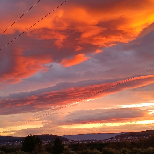 Photo #14003558
