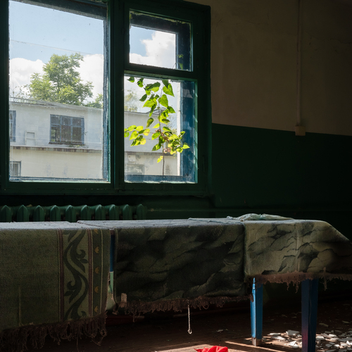 Photo #14003642
