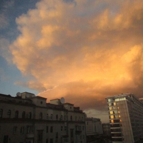 Photo #14003715
