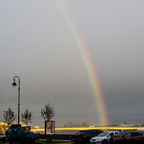 Photo #14003828