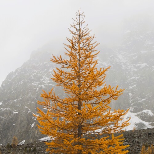 Photo #14003884
