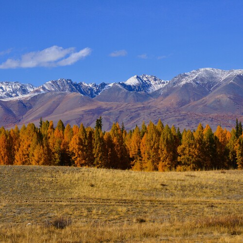 Photo #14003886