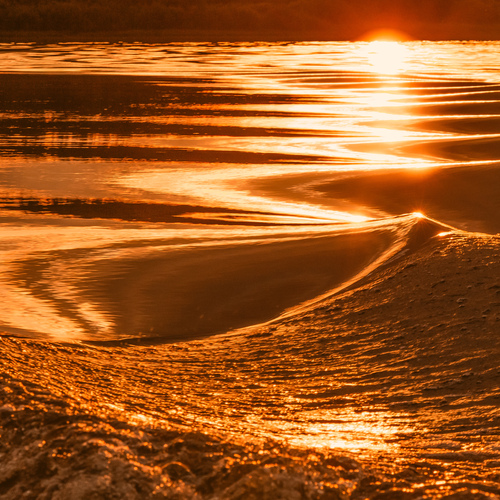 Photo #14004047