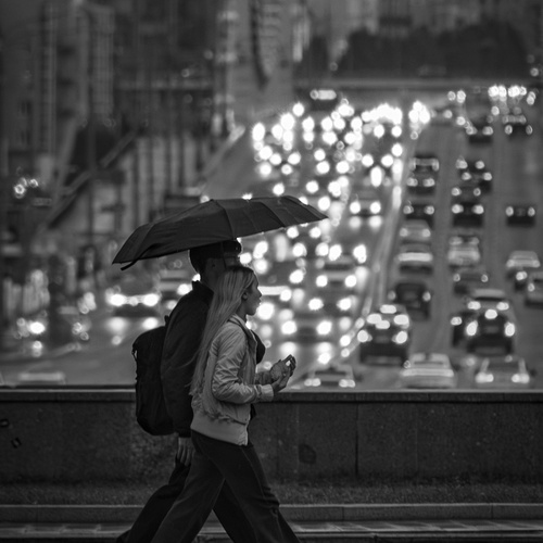Photo #14004075