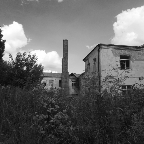 Photo #14004197