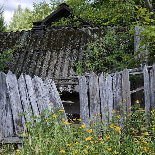 Photo #14004343