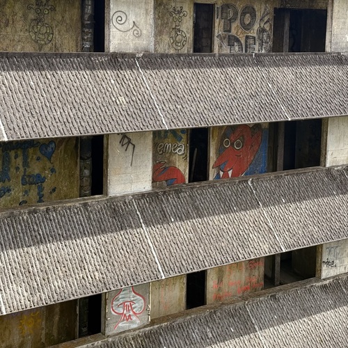 Photo #14004416