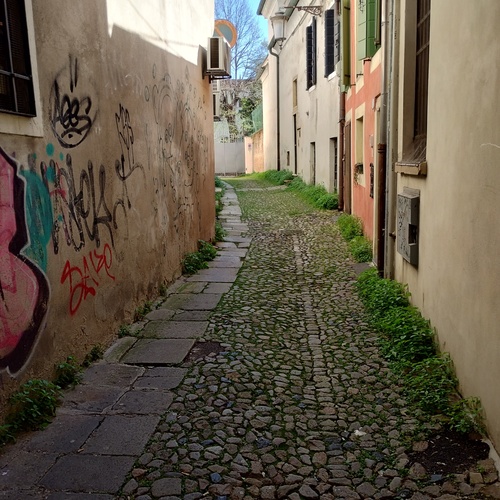Photo #14004483