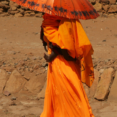 Photo #14004575