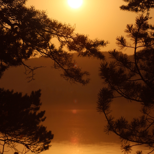 Photo #14004605