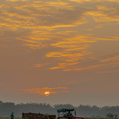 Photo #14004635