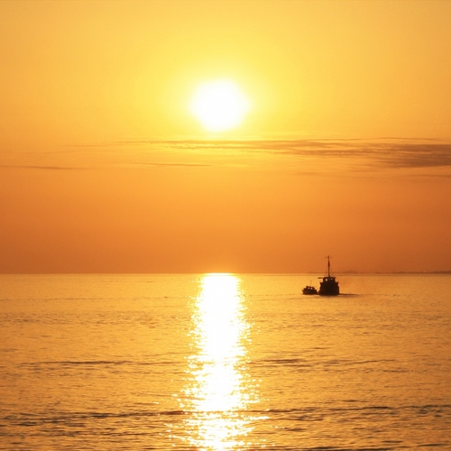 Photo #14004638