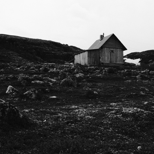 Photo #14004681