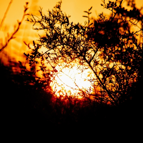 Photo #14004790