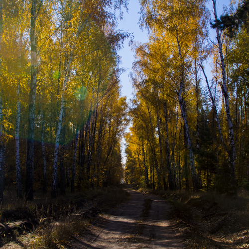 Photo #14004830