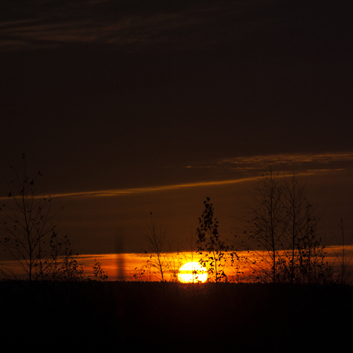 Photo #14004833