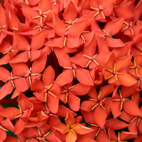 Photo #14004847