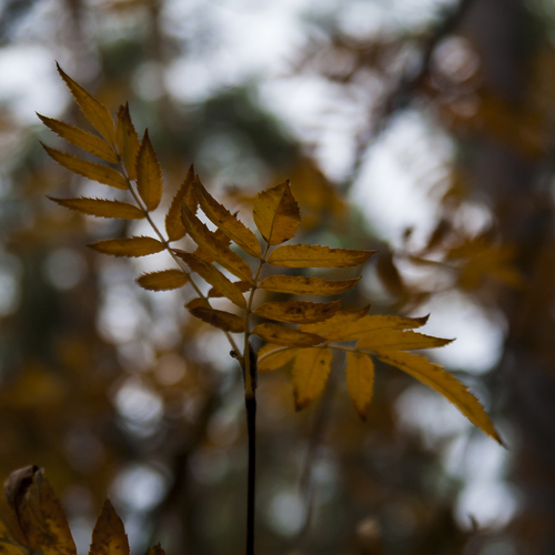 Photo #14004867