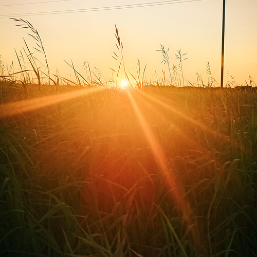 Photo #14004880