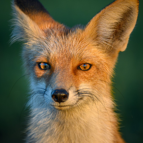 Photo #14004889