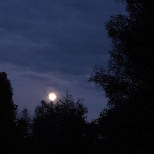 Photo #14004974
