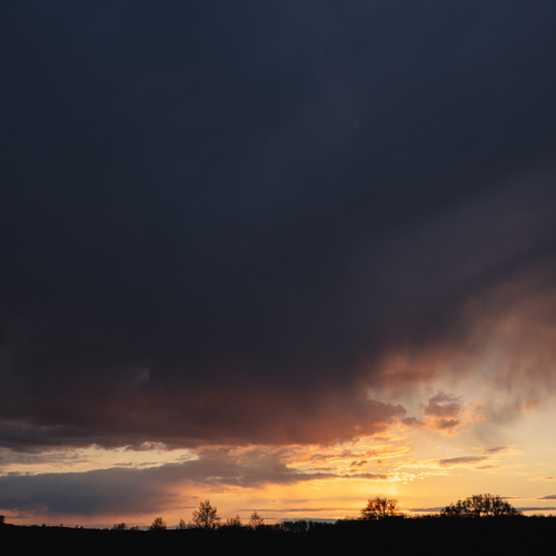Photo #14005012