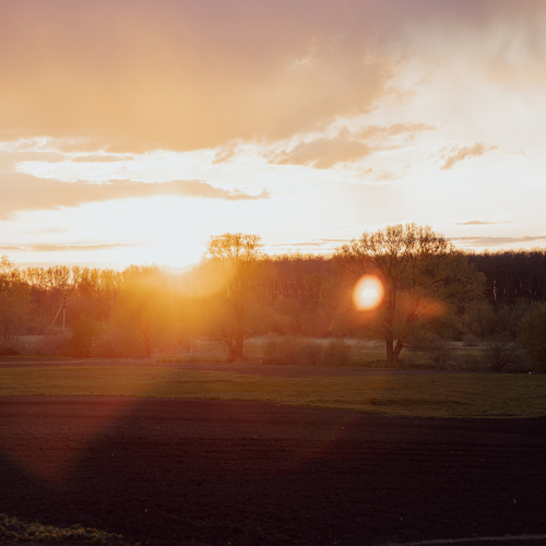 Photo #14005013