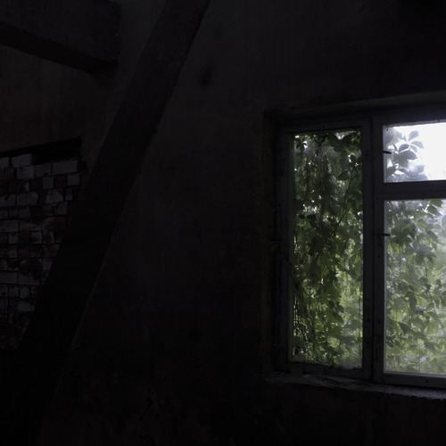 Photo #14005056