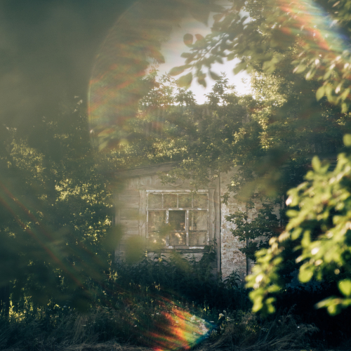 Photo #14005100