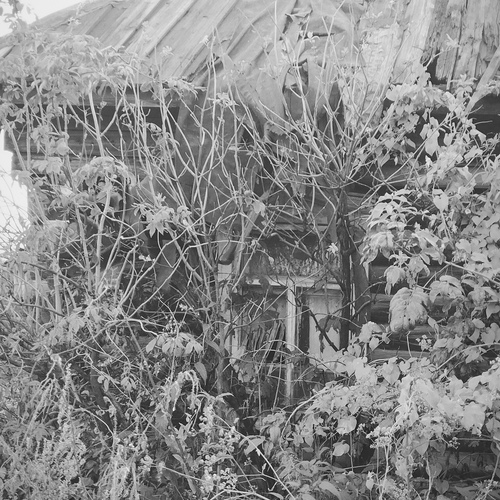 Photo #14005266