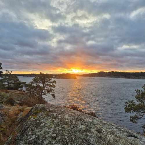 Photo #14005478